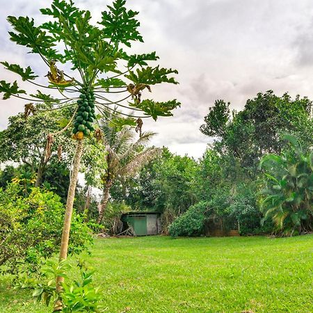 Charming Historic Hilo House Minutes To Beach! Exteriör bild