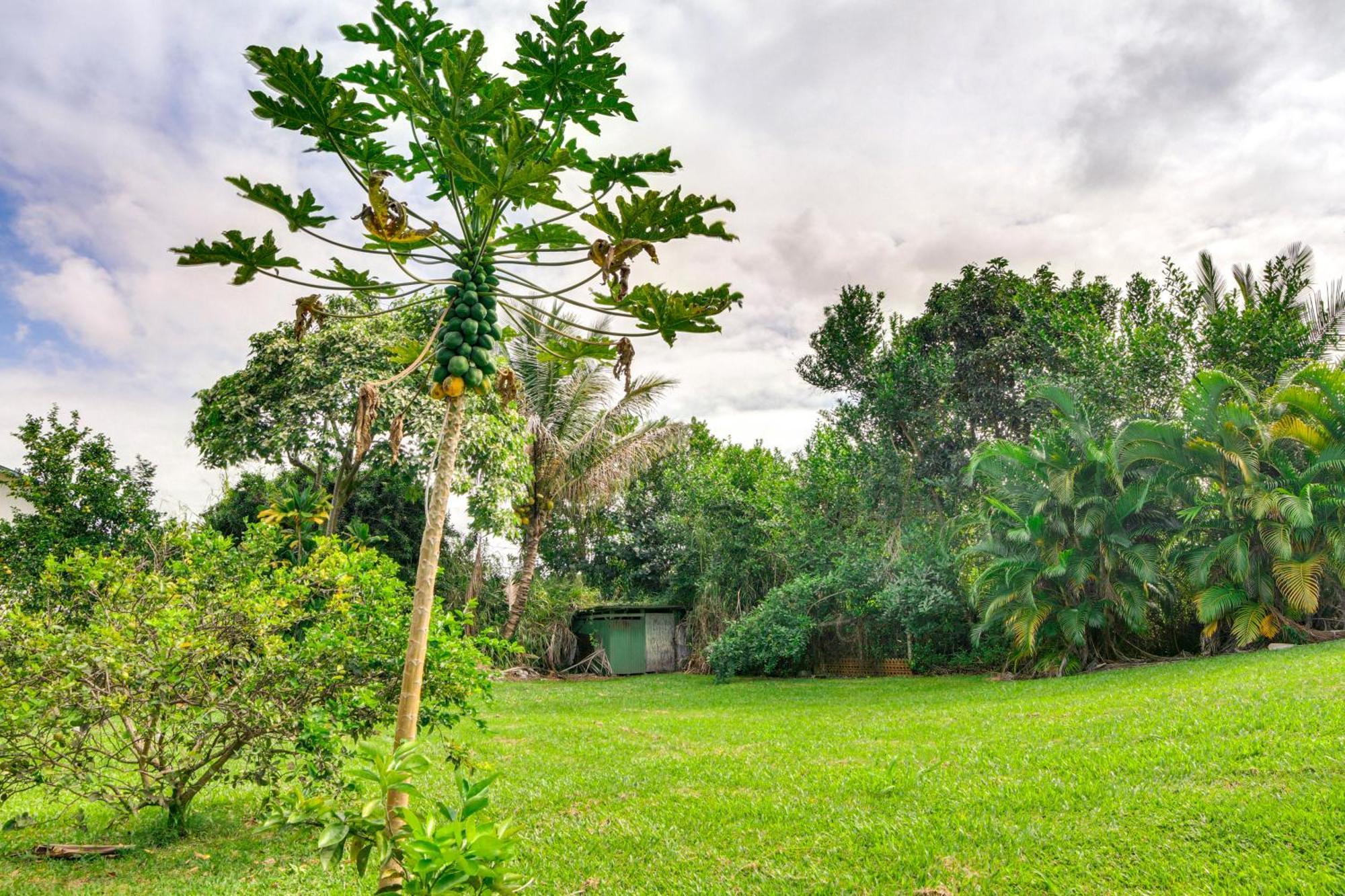 Charming Historic Hilo House Minutes To Beach! Exteriör bild